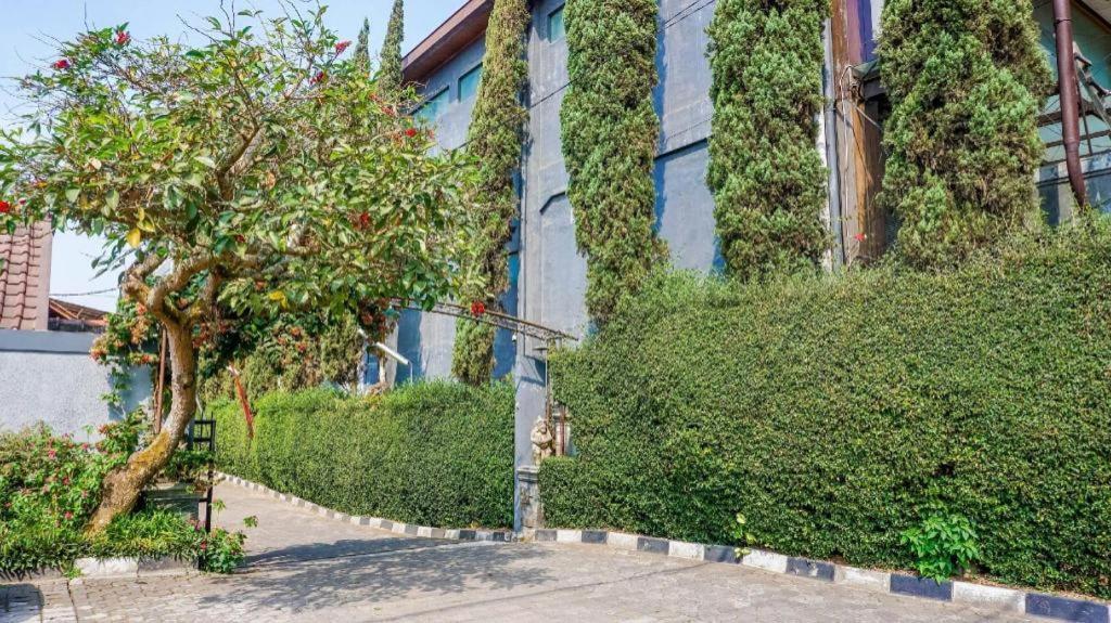 Oyo 1488 Hotel Cemara Asri Lembang Zewnętrze zdjęcie